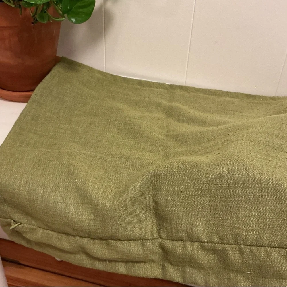 Crate & Barrel Accent Pillow